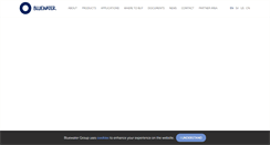 Desktop Screenshot of bluewatergroup.com